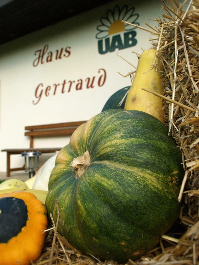 Willa Haus Gertraud Bad Gleichenberg Zewnętrze zdjęcie